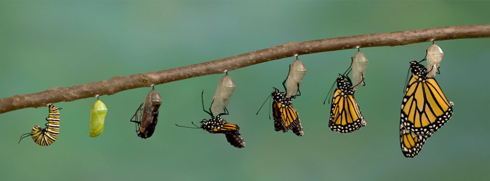 4 Reasons Why You Should Turn Excel Spreadsheets Into Web Apps Now