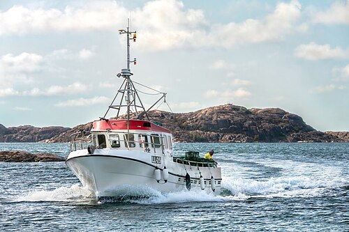 Shrimp and crayfish boat LL-25 MiTina turning into her home harbor in Norra Grundsund, Lysekil Municipality, Sweden.