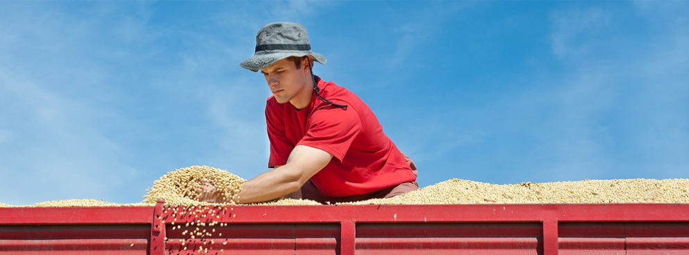 Equipment Manufacturer Uses Low-Code to Help Farmers Boost Produce Worldwide