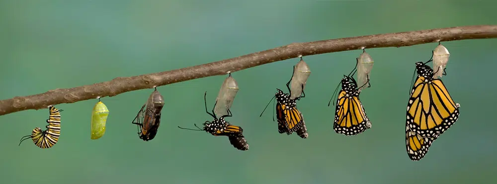 4-reasons-why-you-should-turn-excel-into-web-apps-now