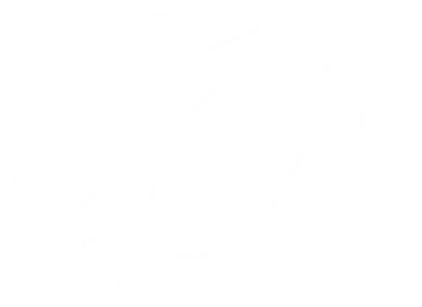 StarCIO logo